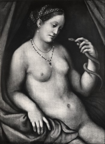 Anonimo — Rizzi Gian Pietro - sec. XVI - Morte di Cleopatra — insieme, dopo il restauro